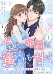 偽りの婚約は蜜よりも甘く raw 第01巻 [Itsuwari no konyaku wa mitsu yorimo amaku vol 01]