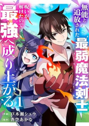 無能と追放された最弱魔法剣士、呪いが解けたので最強へ成り上がる raw 第01-02巻